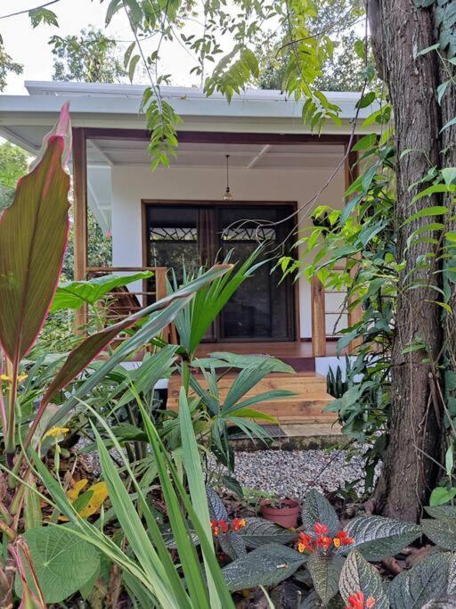 Little Yemanja Bungalow Puerto Viejo de Talamanca Exterior foto